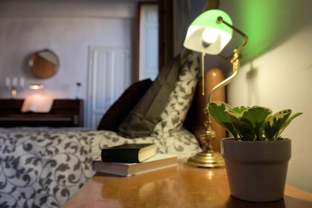 Cozy Apartment With Private Garden - City Center - フィレンツェ エクステリア 写真